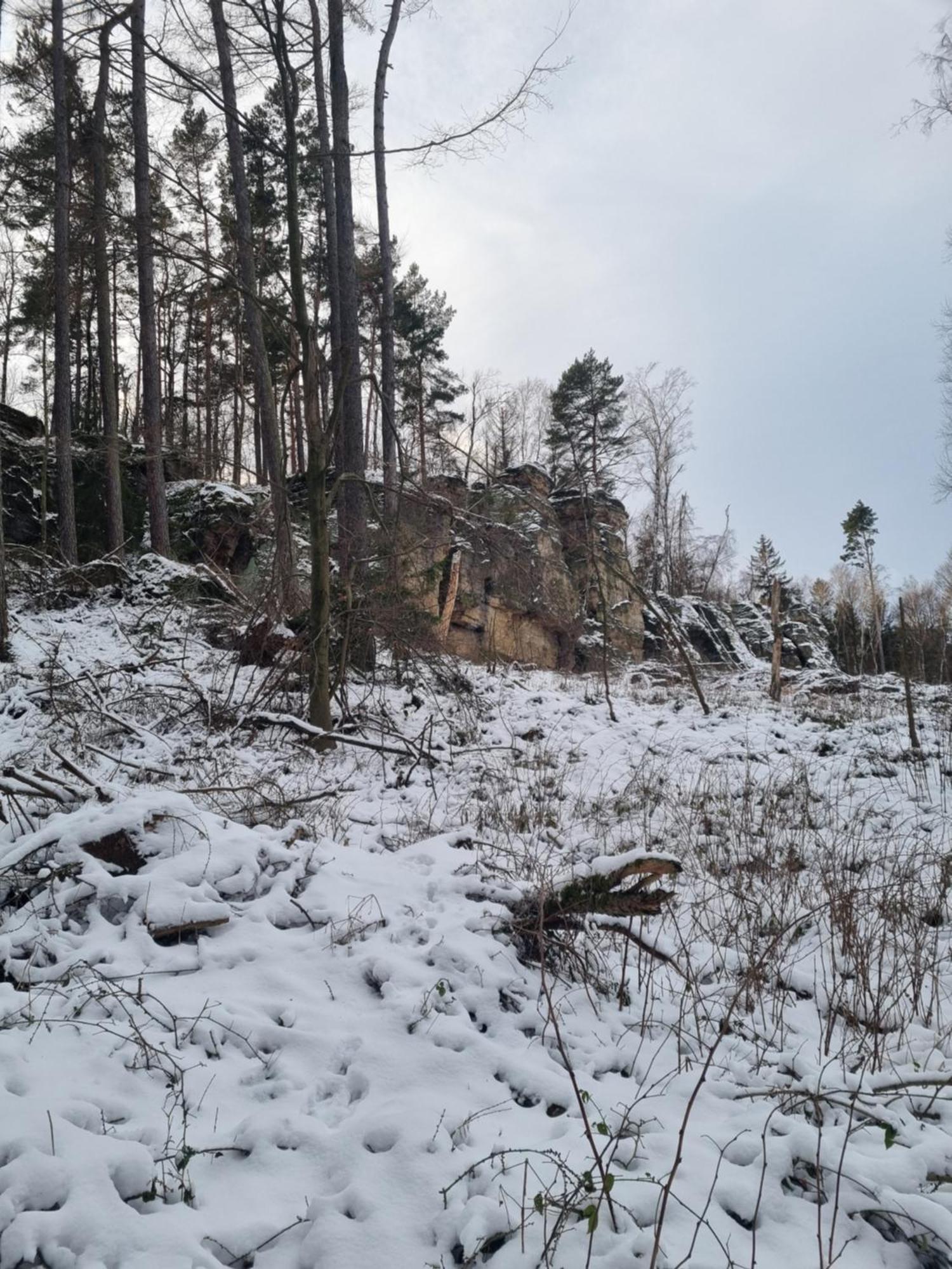 Alte Schaeferei Bad Gottleuba Villa Buitenkant foto